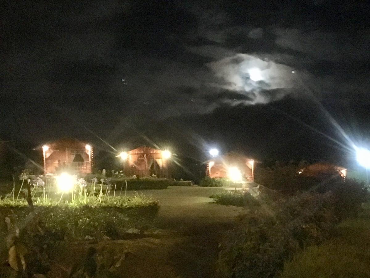 Grandpas Hotel & Restaurante カルタゴ エクステリア 写真